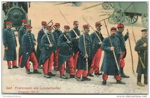 Gefangene Franzosen als Landarbeiter - Kriegsjahr 1914-15 - Feldpost Landst.-Inf.-Batl.- Wismar 2. Komp.