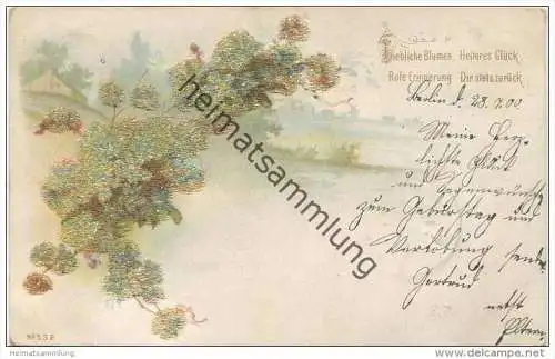 Blumen - Vergissmeinnicht - Glimmer - Spruch