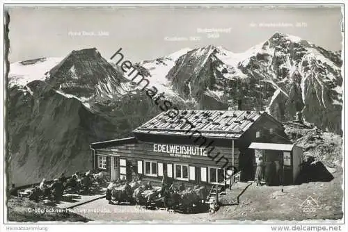 Edelweisshütte - Grossglockner-Hochalpenstrasse - Foto-AK