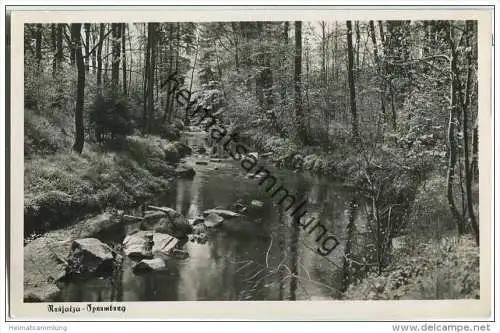 Neusalza-Spremberg - Spree - Foto-AK