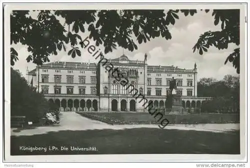 Kaliningrad - Königsberg - Universität - Foto-AK