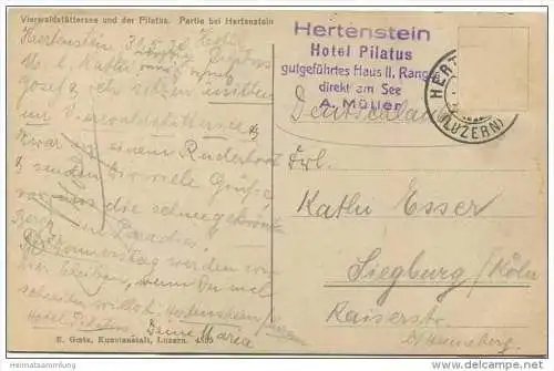 Schweiz - Luzern - Vierwaldstättersee und der Pilatus - Partie bei Hertenstein