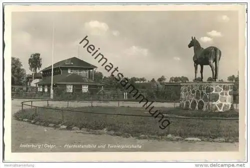 Insterburg - Tschernjachowsk - Pferdestandbild - Turnierplatzhalle - Foto-AK