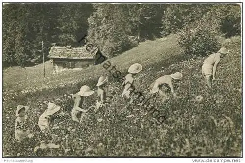 Fleurs des champs et fleurs humaines - Wildblumen und Blumenkinder