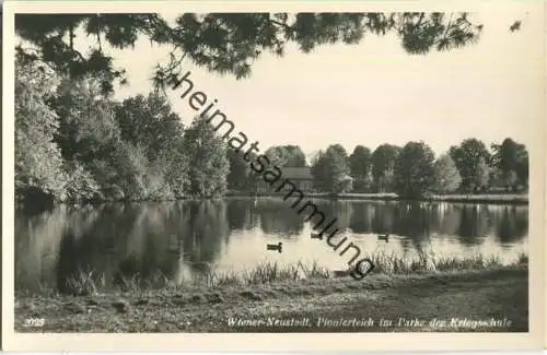 Wiener Neustadt - Pionierteich im Parke der Kriegsschule - Foto-Ansichtskarte