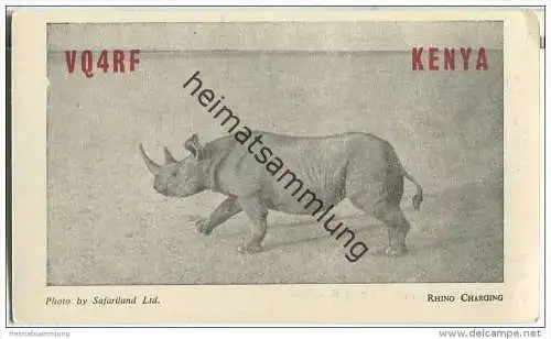 QSL - QTH - Funkkarte - VQ4RF - Kenya - Nakuru - 1955 - Rhino