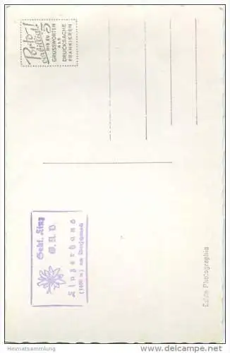 Linzerhaus mit Stubwieswipfel - Foto-AK