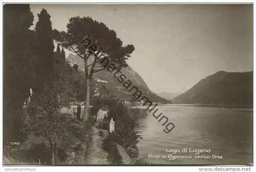 Lago di Lugano - Pinie e Cypressi verso Oria - Foto-AK 20er Jahre