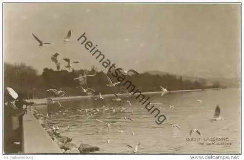 Lausanne Ouchy - Vol de Mouettes - Foto-AK 20er Jahre