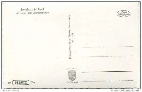 Jungholz mit Iseler und Daumengruppe - Foto-AK