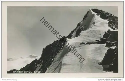 Habichtgipfel - Foto-AK