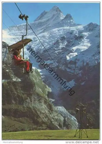 Grindelwald - Firstbahn - Schreckhorn - AK Grossformat