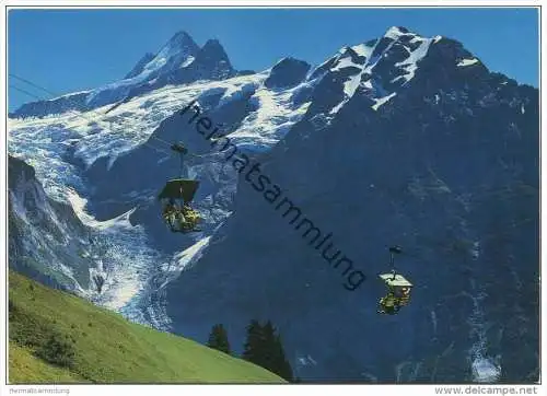 Grindelwald - Firstbahn - Oberer Grindelwaldgletscher - AK Grossformat