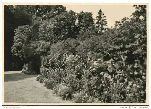 Lugano - Im Park - Foto-AK Grossformat 1954