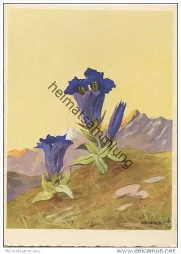 Enzian - Künstlerkarte signiert Schönermark - AK Grossformat 40er Jahre