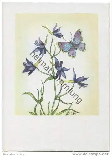 Blume - Schmetterling - Künstlerkarte signiert N. ST. -&gt; Nora Stechmann - AK Grossformat 40er Jahre