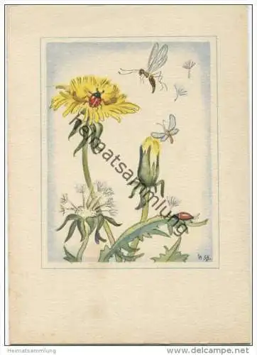 Löwenzahn - Pusteblume - Marienkäfer - Künstlerkarte signiert N. ST. -> Nora Stechmann - AK Grossformat 40er Jahre