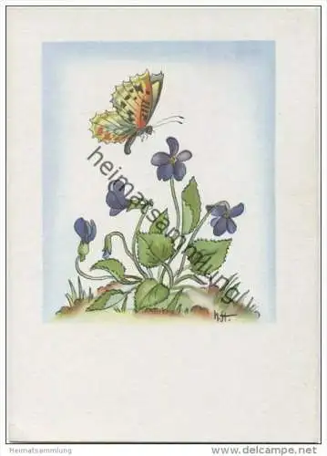 Veilchen - Schmetterling - Künstlerkarte signiert N. ST. -> Nora Stechmann - AK Grossformat 40er Jahre