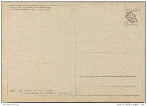Soldanellen - Schlüsselblume - Mehlprimeln - Künstlerkarte signiert L. S. 1942 -&gt; Lilly Scherbauer - AK Grossformat