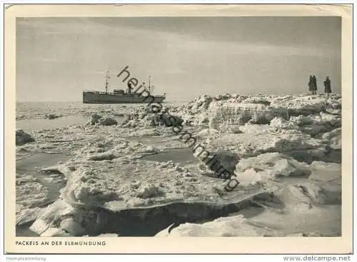 Hamburg - Packeis an der Elbmündung - AK Grossformat 30er Jahre