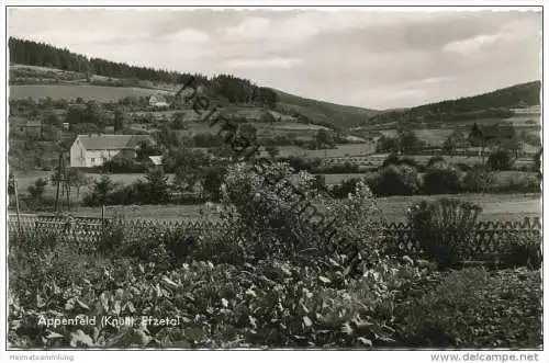 Appenfeld - Knüllwald - Efzetal - Foto-AK