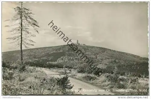 Blick vom Rennsteig zum grossen Inselsberg - Foto-AK 50er Jahre