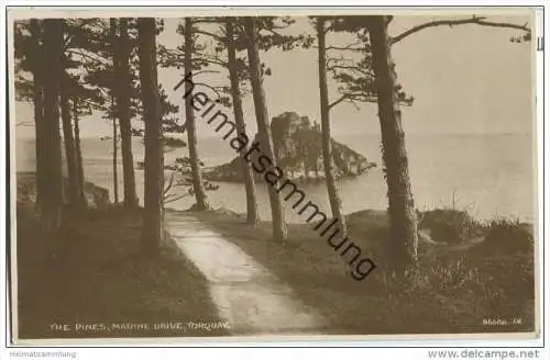 Torquay - The Pines - Marine Drive - Devon - Foto-AK