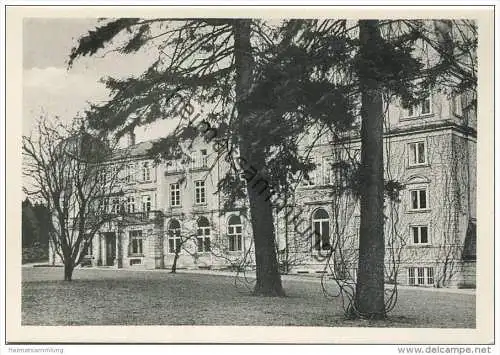 Das alte Schloss Friedrichsruh - AK Grossformat