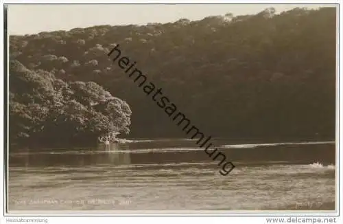 River Dart - Sharpham Corner - Devon -&nbsp;Foto-AK