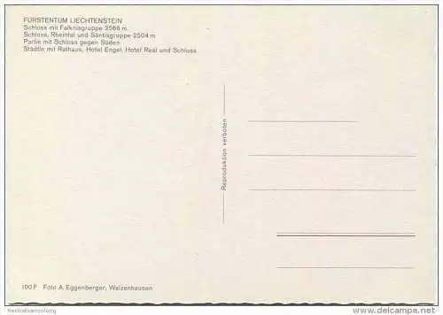 Vaduz - Schloss - Städtle mit Rathaus - AK Grossformat