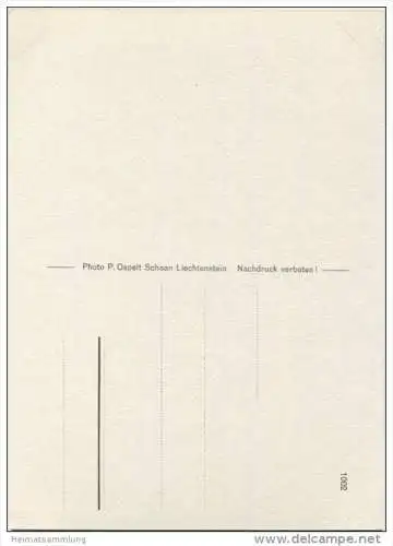 Vaduz - AK Grossformat