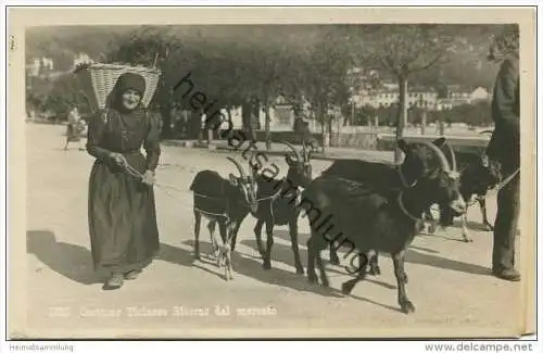 Costume Ticinese - Ritorno dal mercato - Foto-AK - Ziegen