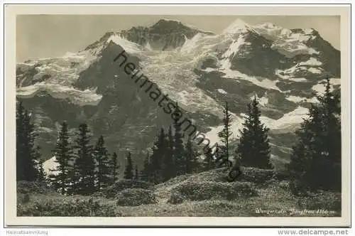 Wengernalp - Foto-AK