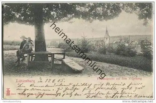 Lütjenburg - Friedenseiche auf dem Vogelberg