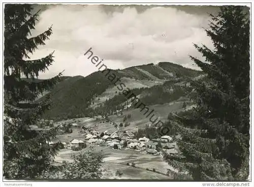 Menzenschwand - Foto-AK Grossformat