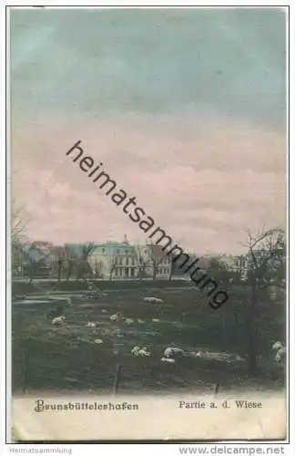 Brunsbüttelkoog - Brunsbüttelerhafen - Partie an der Wiese