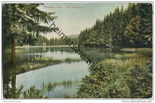 Altenau im Harz - Am Okerteich