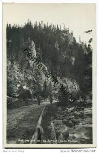 Katzenstein im Tal der Schwarzen Pockau