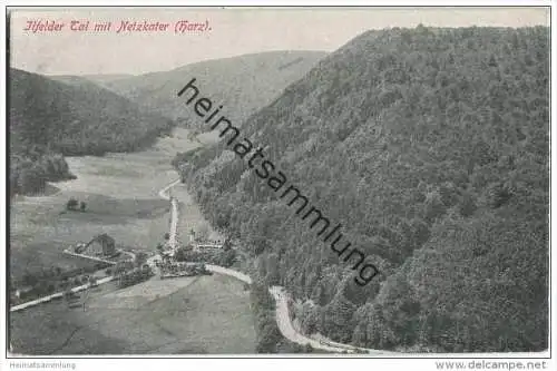 Netzkater - Ilfelder Tal