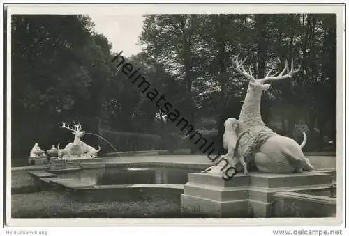 Schwetzingen - Schlossgarten - Hirschgruppe - Foto-AK