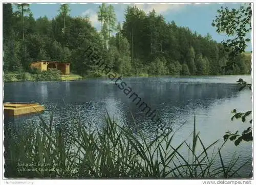 Tännesberg - Naturbad Burzwinkel - AK Grossformat 60er Jahre