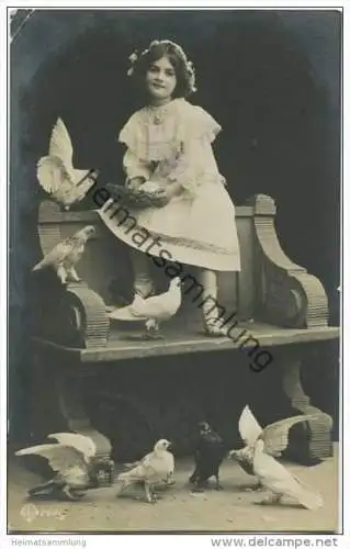 Tauben - Foto-AK - Verlag DLG