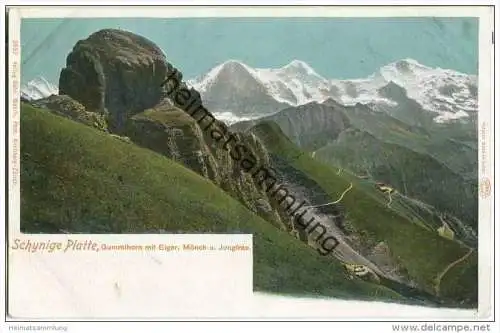 Schynige Platte - Gummihorn