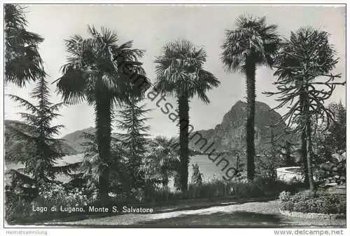 Lago di Lugano - Monte S. Salvatore - Foto-AK