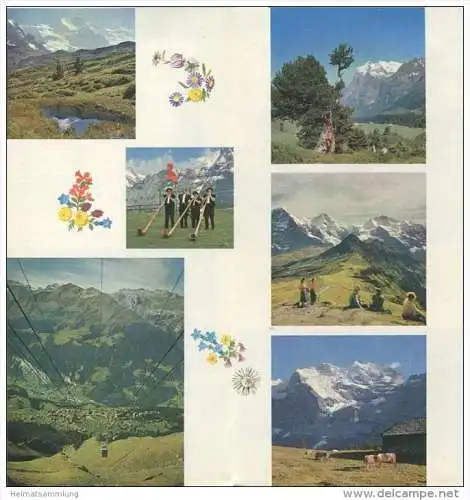 Wengen Männlichen - Luftseilbahn - Faltblatt mit 20 Abbildungen