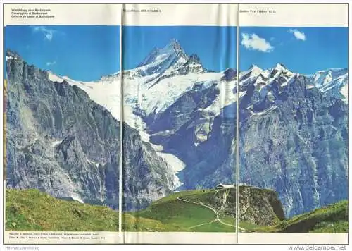 Grindelwald Sommer 1967 - Faltblatt mit 20 Abbildungen - Veranstaltungs- und Hotel-Verzeichnis