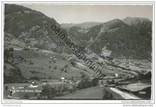 Fleiss im Sölktal - Foto-AK 1963