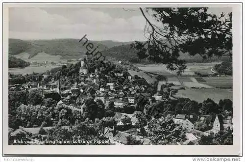 Pappenheim - Blick vom Weinberg