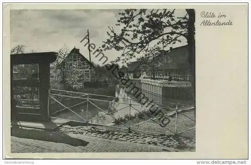 Blüte im Altenlande