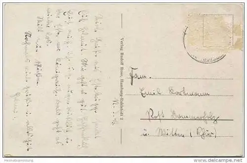 Blüte im Altenlande